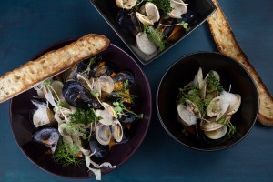 Mussels-Clams-OverheadDebby Wolvos Photography