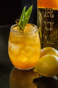Philly-Fish-House-Punch-High-ResDebby Wolvos Photography