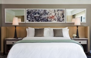 Superior King Guestroom