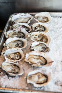 Close up shucked oysters