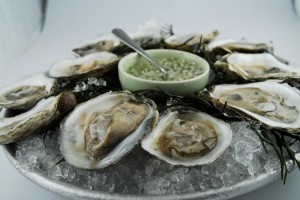 Oysters