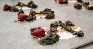 Edible Dessert Land