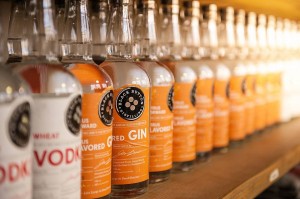GinLineup
