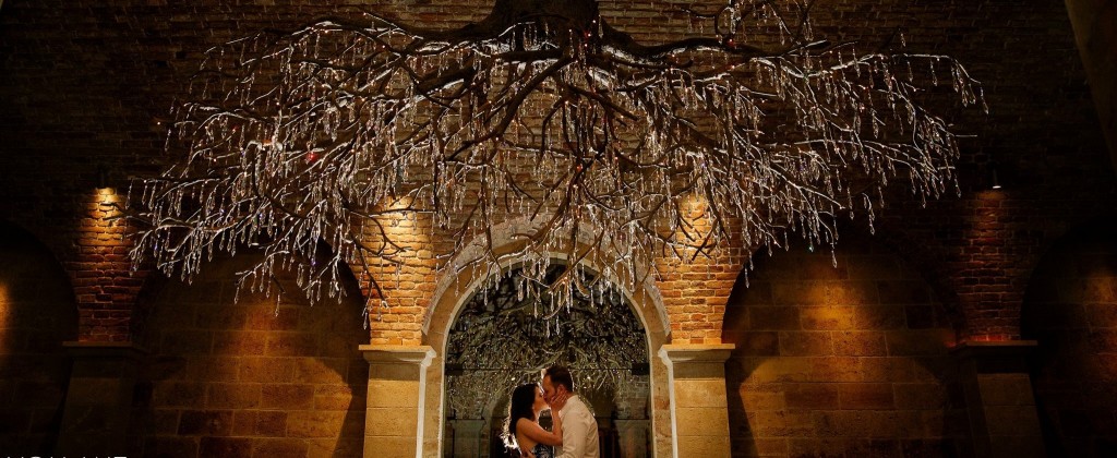 HALL Rutherford Napa's most-romantic proposal destination