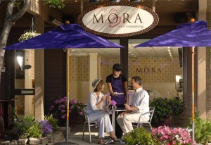Mora Iced Creamery Franchise