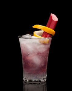 Rhubarb Gin Fizz