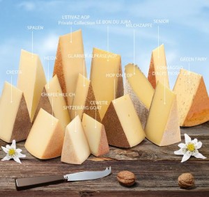 Types of Mifroma Premium Swiss Cheese