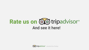Trip advisor app