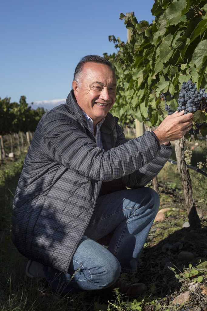 Jose Galante's 2015