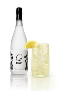 A Reason to Celebrate &#8211; National Lemonade Day!