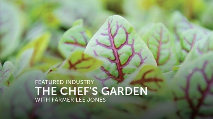 chef'sguarden