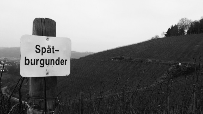 Spätburgunder-Photo-Denkrahm1