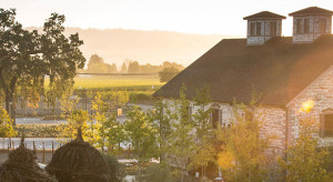 hall wines