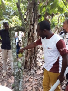 26 employees rewarded with once-in-a-lifetime learning journey to cocoa origin country