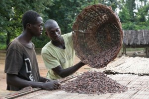 Barry Callebaut helps cocoa farmers