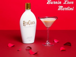 The RumChata Burnin Love Martini
