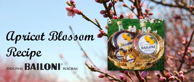 Bailoni Apricot Liqueur