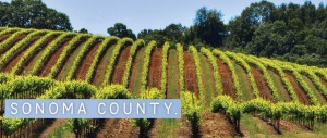 sonoma county