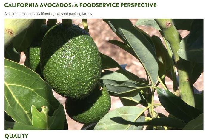 California Avocados - a Foodservice Perspective