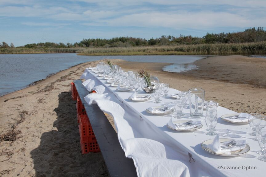 Walrus and Carpenter Oysters flyer - Suzanne Opton