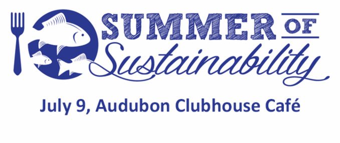 Summer of sustainability