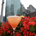 Eclipse Cocktail