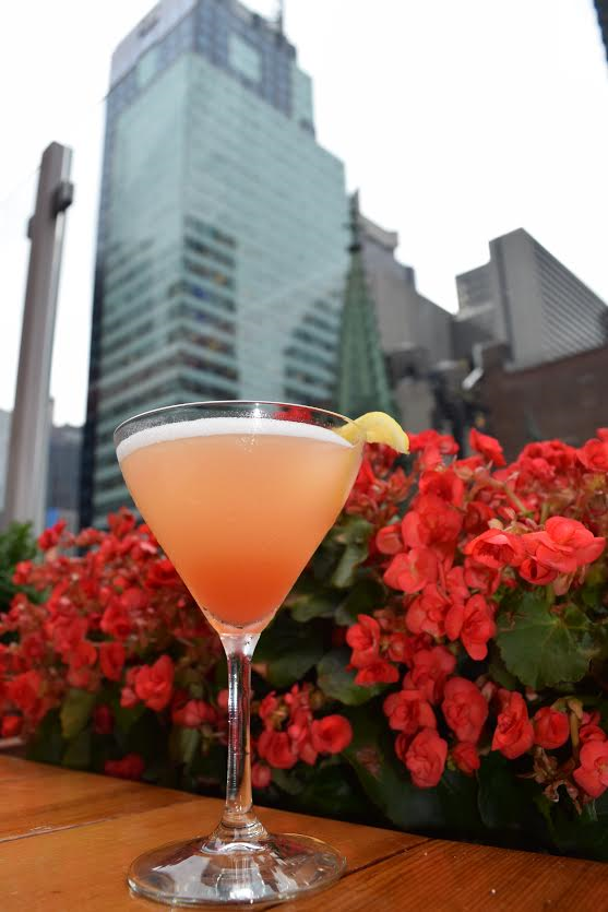 Eclipse Cocktail