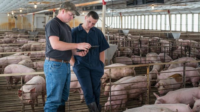 Smithfield Foods Animal Care