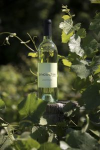 Syncopation white whine