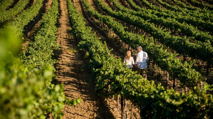 Temecula wine country