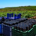 10-factors-to-consider-when-selecting-a-bulk-wine-supply-partner