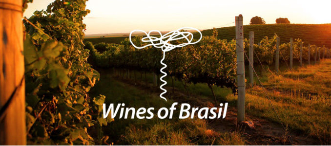 wines of brasil