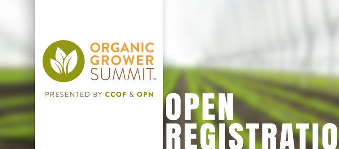 OrganicSummitTop