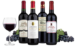Things You Definitely Need to Learn About St. Julien Bordeaux Wines