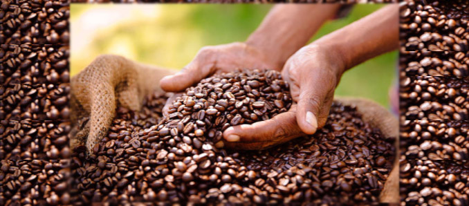 A More Ethical Coffee Supply Chain Hits Smartphones