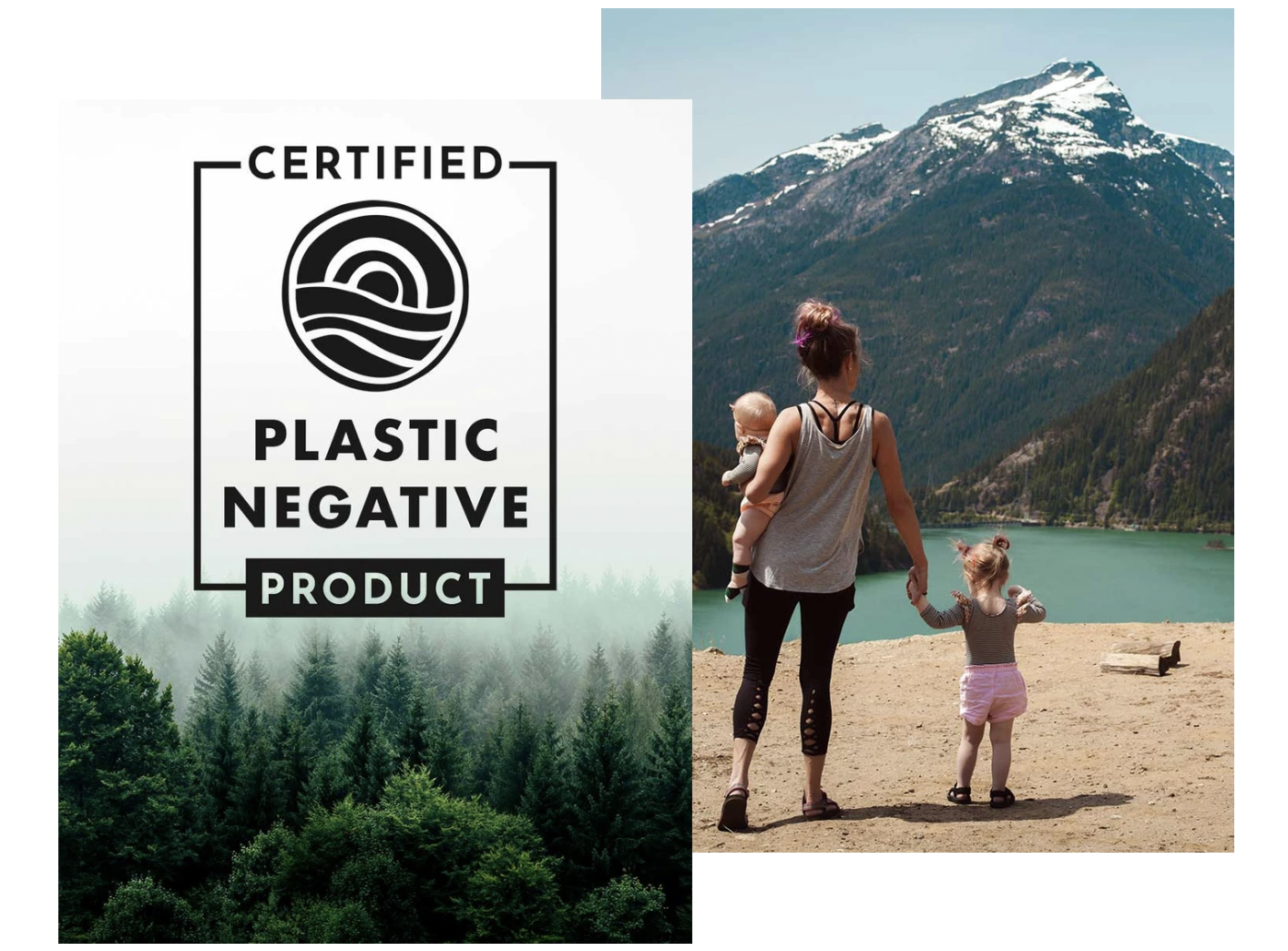 Going Plastic Negative: Freshfield