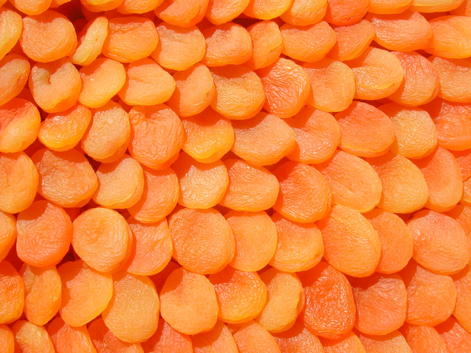 Orange Apricots