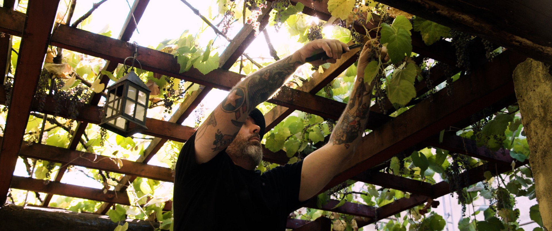 SOMM TV’s The Oldest Vine Put the L.A. Wine Scene Front and Center