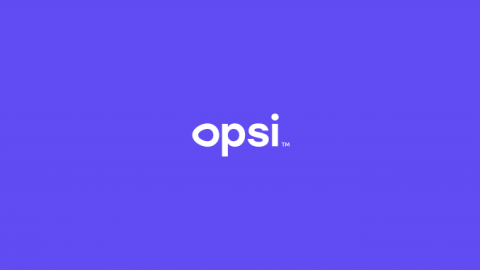 opsi