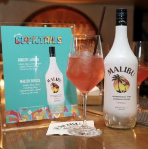 MALIBU celebrated National Pina Colada Day with DJ Cassidy, Shaggy and Rayvon, plus a slew of VIP Guests in Beverly Hills including recent F&#038;B cover stars Foodgod and Evan Ross