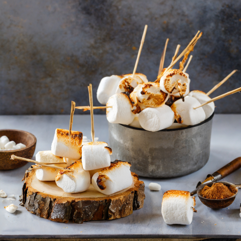 Toasted Coconut Marshmallows