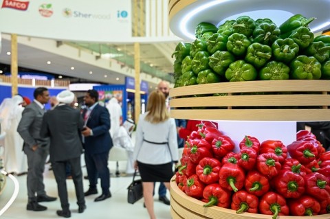 THE WORLD GOURMET SHOW