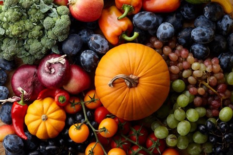 Point Celebrates Autumn with New Executive Chef, Seasonal Happenings, and More