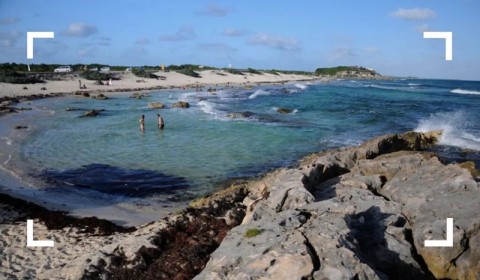 Worst Mistakes When Visiting Cozumel and How to Avoid Them