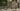 Catria rendering 3