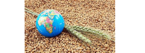 International Gathering of Agricultural and Food Security Pioneers