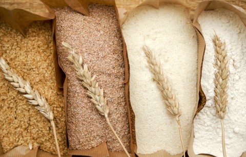 which_flour_to_use