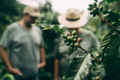 Costa Rica Coffee Farm CREDITS-Jonathan Graham_01