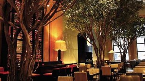 TY BAR AND THE GARDEN RESTAURANT