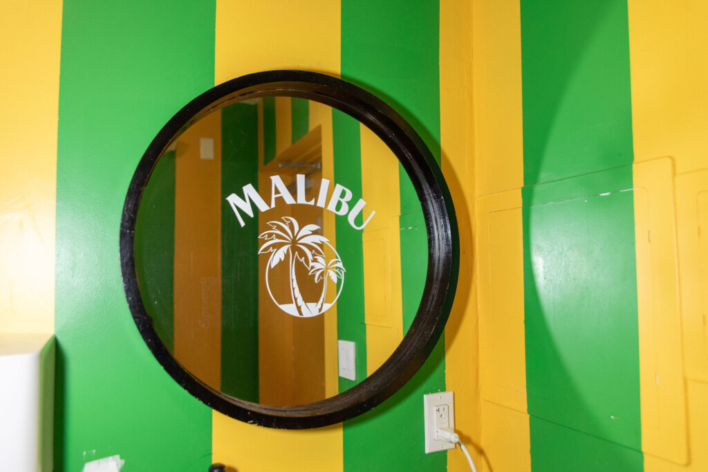 special guest Janelle Monae